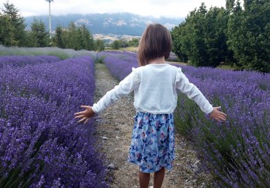 Parco della lavanda, la magia viola del Pollino